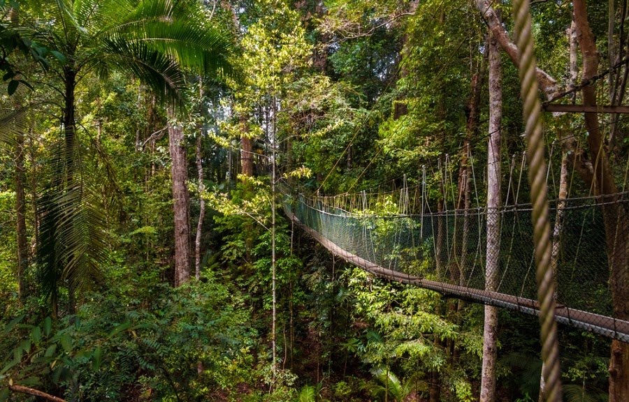 Los 10 lugares imprescindibles que debes visitar en Malasia