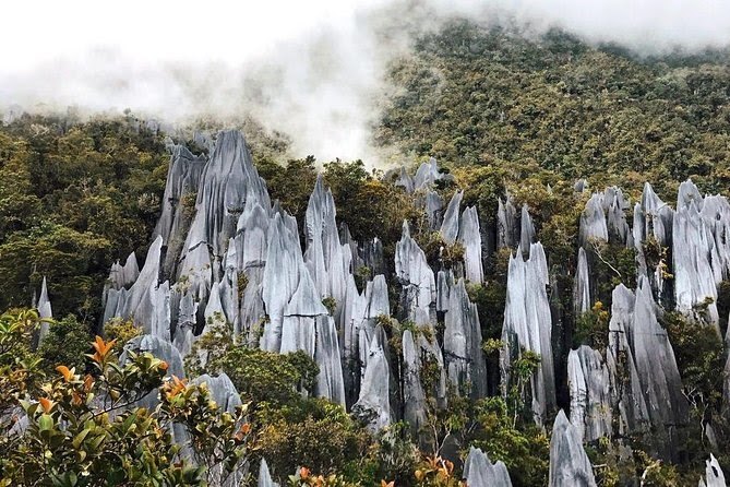 Los 10 lugares imprescindibles que debes visitar en Malasia