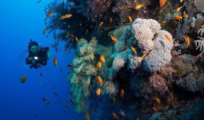 Los mejores lugares para bucear en el mundo