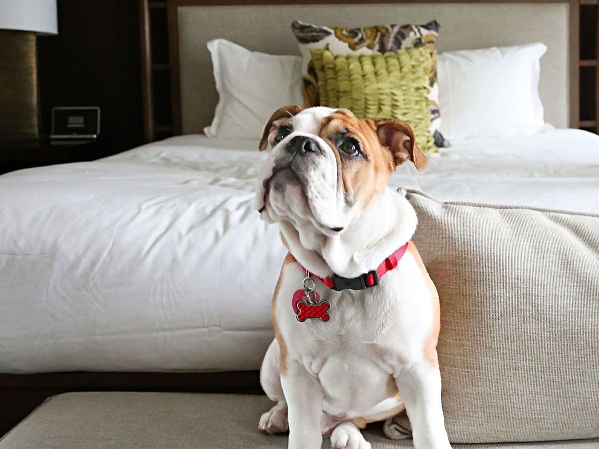 12 consejos importantes para hacer una reserva de hotel