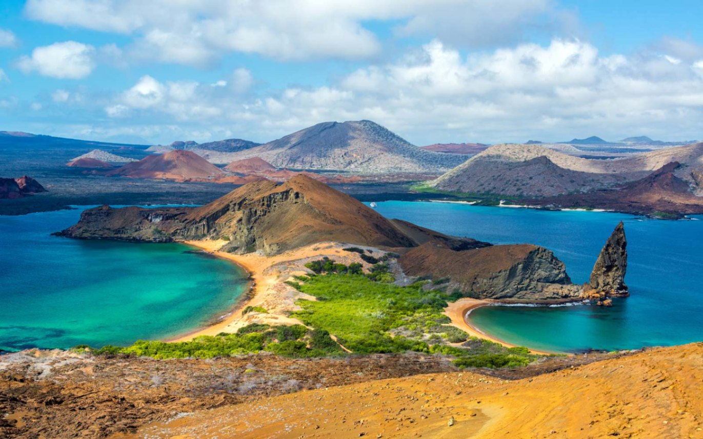 Descubre la fascinante vida marina de las Islas Galápagos