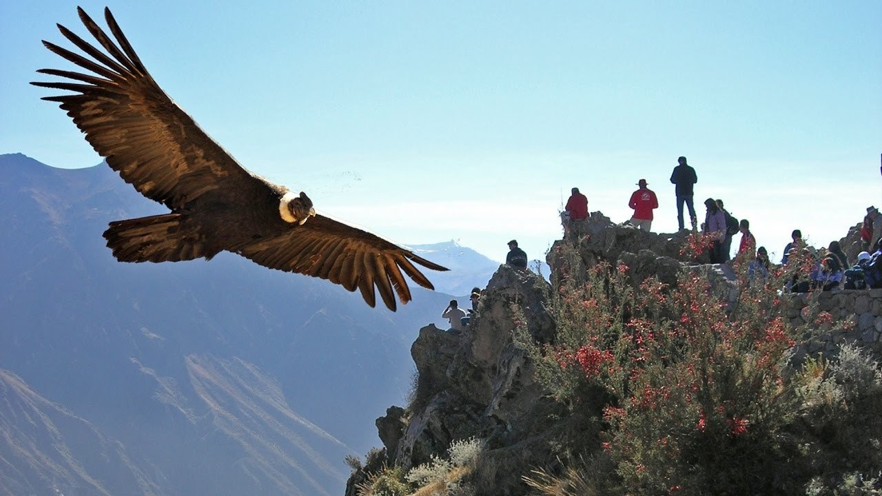 Descubre Estas Actividades Imprescindibles Para Tu Viaje a Perú